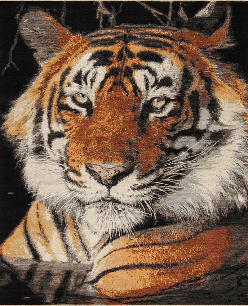 Animal Kingdom Tiger by Samad | samad.com
