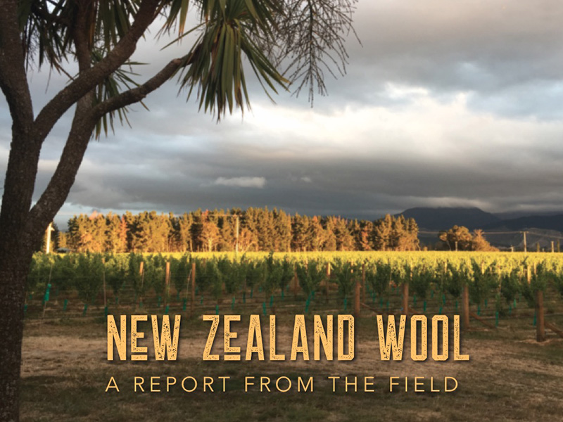 New Zealand sheep farm now vineyard